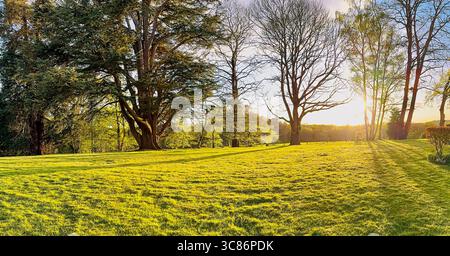 Début du printemps belle vue sur une grande pelouse comme le soleil du soir filtre à travers les arbres dans une maison de campagne anglaise typique Banque D'Images