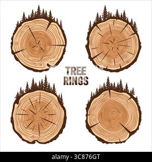 Tronc d'arbre rond coupé avec des arbres et de la forêt. Tranches de pin scié ou de chêne, bois d'œuvre. Scier bois coupé, bois. Texture en bois brun avec anneaux d'arbre. Dessiné à la main Illustration de Vecteur