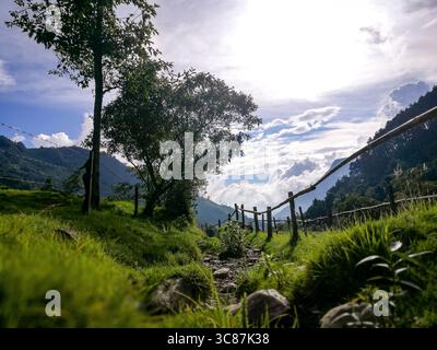 sentier de randonnée dans la valle de cocora, colombie Banque D'Images