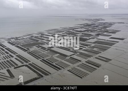 Vue aérienne des bancs d'huîtres s'étendant sur les plaines de marée, une mosaïque de textures sous un ciel sourd, Cancale, Bretagne, France. Banque D'Images