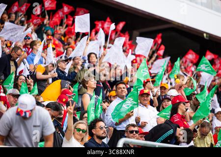 Mogyorod, Hongrie. 03 août 2025. Fans lors du Grand Prix de Hongrie Lenovo de formule 1 2025, 14ème manche du Championnat du monde FIA de formule 1 2025 du 1er au 3 août 2025 sur le Hungaroring, à Mogyorod, Hongrie - photo Julien Delfosse/DPPI crédit : DPPI Media/Alamy Live News Banque D'Images