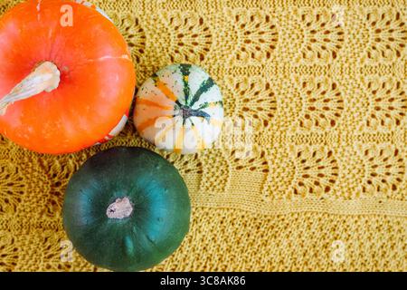 Trois citrouilles colorées sur fond jaune tricoté avec espace de copie. Vue de dessus, pose à plat. Banque D'Images