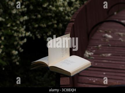 Lire des livres dans le parc. Promenade printanière dans le parc et lecture de poèmes. Banque D'Images