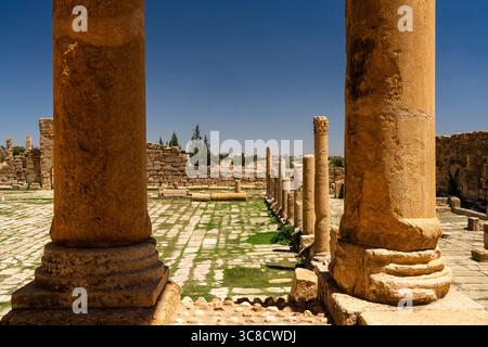 Site archéologique de Sbeitla, Tunisie Banque D'Images