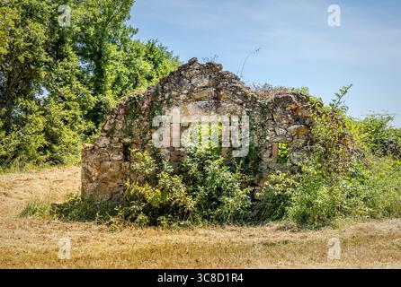 Ruine d'une ancienne ferme envahie par la végétation en Toscane Banque D'Images