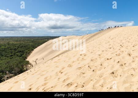 La Dune du Pilat, côté est et visiteurs sur la crête Banque D'Images