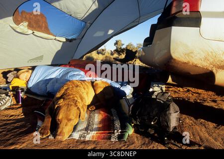 Femme et chien dormant dans la tente auto sous les flèches de grès, Indian Creek, Utah Banque D'Images