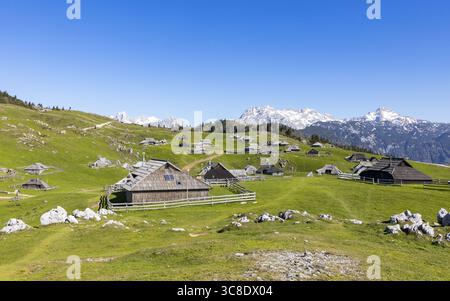 Vue de cabanes de bergers en bois parsèment les prairies verdoyantes, nichées sous les Alpes enneigées, un paysage serein, Stahovica, Kamnik, S Banque D'Images