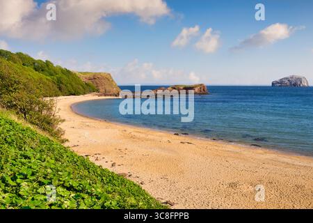 Seacliff Beach, une plage sauvage et magnifique près de North Berwick, East Lothian, Écosse. 2 km au large sur la droite est Bass Rock, au centre est le G. Banque D'Images