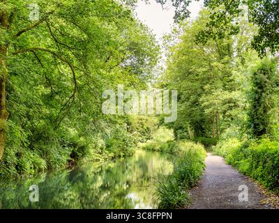 Chemin de halage verdoyant à côté du canal de Cromford, de Cromford Wharf à High Peak Junction. Cromford fut le berceau de la révolution industrielle en Angleterre... Banque D'Images