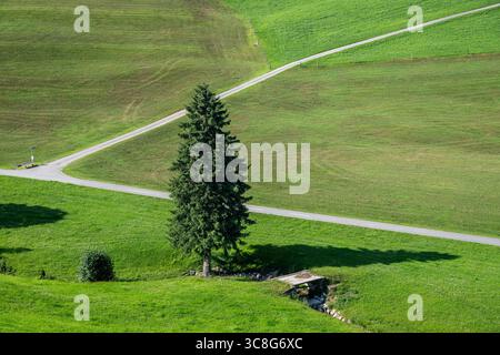 Paysage rural, Gonten, canton d'Appenzell Innerrhoden, Suisse Banque D'Images