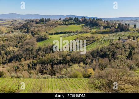 Vue panoramique sur la campagne toscane près de San Gimignano, Italie, avec des collines verdoyantes, des oliveraies et des cyprès sous un ciel bleu clair. Banque D'Images