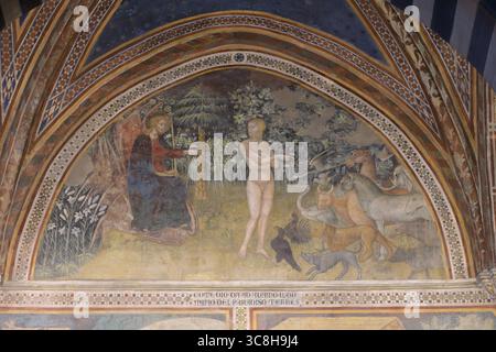 La fresque représente des scènes de la création du monde situées dans la Collegiata di Santa Maria Assunta, San Gimignano, Italie. Banque D'Images