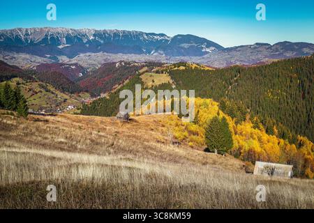 Beau paysage rural d'automne et petit village dans la vallée profonde. Vieilles huttes en bois et bouleaux colorés sur la pente, Carpates, Transylvanie, Banque D'Images