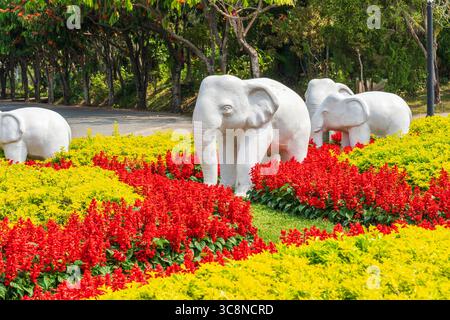 Parc Royal Rajapruek à Chiang mai en Thaïlande Banque D'Images