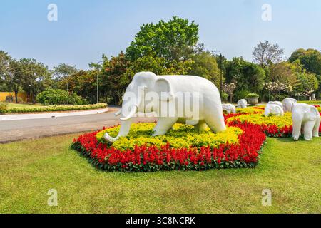 Parc Royal Rajapruek à Chiang mai en Thaïlande Banque D'Images