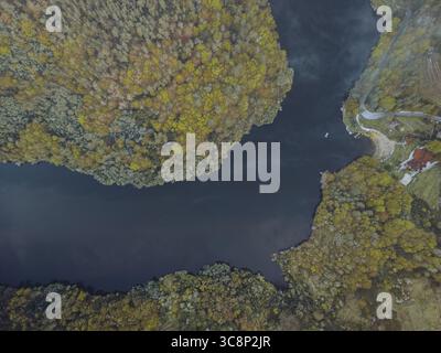 Vue aérienne de la rivière sombre serpentant entre les terres couvertes d'arbres aux teintes dorées et vertes, O Savinao, Lugo, Espagne. Banque D'Images