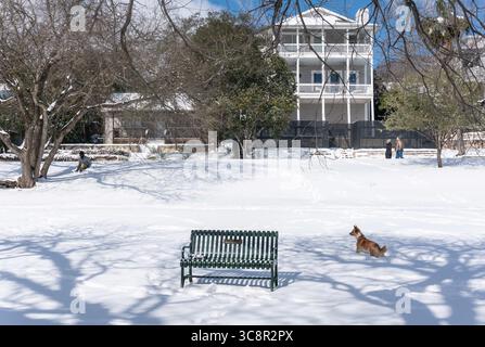 15 février 2021, Austin, Texas, États-Unis : Austin, Texas. Les résidents du quartier de Travis Heights profitent au mieux d’une journée de neige inattendue. La plupart des habitants de la région n'ont plus d'électricité depuis 2 heures du matin (crédit image : © Sandra Dahdah/ZUMA Wire) Banque D'Images