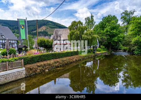 Saalhausen, Lennestadt, sur la piste cyclable Sauerlandring, une piste cyclable circulaire de 84 km entre les villes de Finnentrop, Eslohe, Schmallenberg et Len Banque D'Images