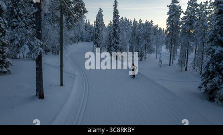 Vue aérienne d'un skieur solitaire glissant sur un chemin enneigé, flanqué d'arbres givrés sous un ciel pâle, Salla, Finlande. Banque D'Images