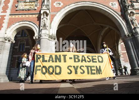26 février 2021, Amsterdam, pays-Bas : les militants écologistes extinction Rebellion pendant la manifestation bloquent l'entrée principale du Rijksmuseum le 26 février 2021 à Amsterdam, pays-Bas. Les protestataires environnementaux de extinction Rebellion manifestent contre le lobby des grandes entreprises leur influence sur la politique, le climat et la crise écologique et ces conséquences et exigent une Assemblée citoyenne pour une politique climatique juste. (Crédit image : © Paulo Amorim/VW pics via ZUMA Wire) Banque D'Images