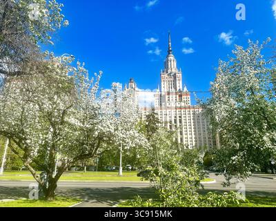 Fleurs de printemps encadrant la flèche stalinienne de l'Université d'État de Moscou Banque D'Images
