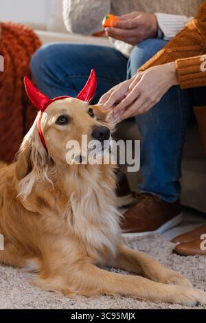 Couple tenant un jouet et d'enfant Golden retriever portant un bandeau de corne de diable rouge à la maison sur un tapis Banque D'Images