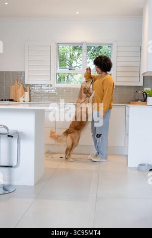 Bol de chien Golden retriever reniflant près de la cafetière et planche à découper sur le sol carrelé de la cuisine Banque D'Images