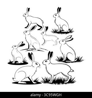 Collection de silhouettes de lièvre arctique noir et blanc dans diverses poses Illustration de Vecteur