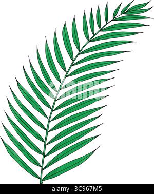 Feuille de palmier vert tropical dans le style doodle. Dessiné à la main par des encres vecteur élément isolé pour la conception. Illustration de Vecteur