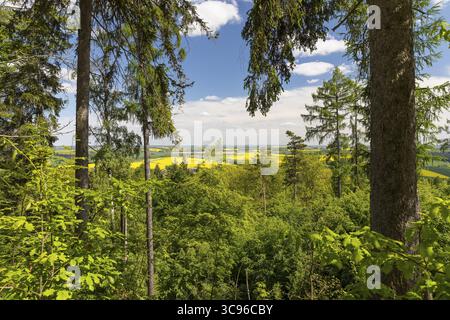 Sur le sentier porphyre nature au-dessus de la montagne Rochlitz, ancienne vue panoramique de la carrière Seidel, carrières historiques, Rochlitz, Saxe, Allemagne Banque D'Images