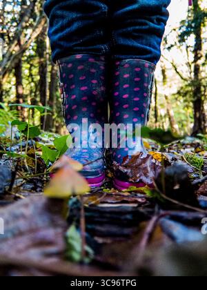 Une personne portant des bottes de pluie bleues à pois se tient dans une forêt, entourée de feuilles et de feuillages. Banque D'Images