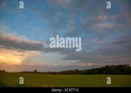 Nuages spectaculaires au coucher du soleil sur les champs de ferme verdoyants dans le Minnesota pendant l'été Banque D'Images