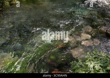 Gros plan de la surface de l'eau turquoise cristalline à la source Blue Eye (Syri i Kaltër) près de Saranda, Albanie. Texture naturelle vibrante d'eau douce Banque D'Images