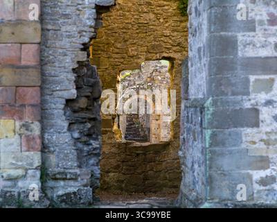 17 août 2022, Richmond, North Yorkshire, Royaume-Uni : Easby Abbey (crédit image : © Edwin Remsberg/VW pics via ZUMA Press Wire) Banque D'Images