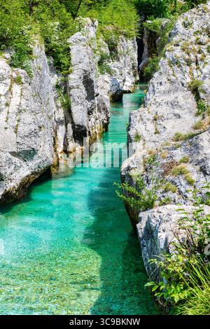 La Grande gorge de Soča en Slovénie et la rivière Soča Banque D'Images