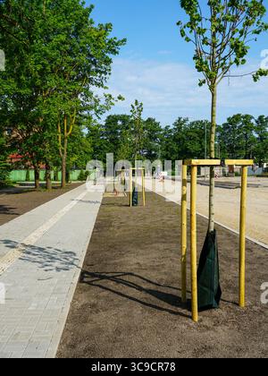 Nouveau trottoir de la ville avec des arbres plantés dans des manchons protecteurs et développement des infrastructures urbaines Banque D'Images