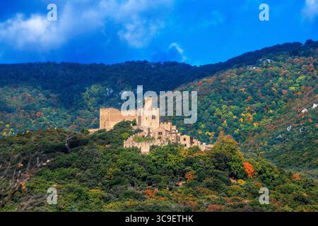25 octobre 2021, Gérone, Espagne : Château de Requesens entouré de forêt, pic du massif de Neulos Albera, Alt Emporda, province de Gérone, Catalogne, Espagne...probablement existant depuis le IXe siècle, par certaines autorités il est daté de l'année 844. A été construit pour Gausfred II Rosello dans les terres du comte PonÃ§ I d'EmpÃºries. Le château est mentionné pour la première fois dans un document de Ponce I, comte d'Ampurias au 11ème siècle (1050).au 19ème siècle, le château en ruine a été reconstruit dans un style néo médiéval.C'est l'un des châteaux les plus beaux et pittoresques que j'ai jamais visité. Situé près de t Banque D'Images