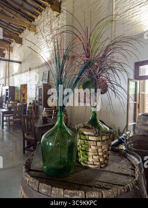 21 mars 2023, San Rafael, Mendoza, Argentine : arrangements floraux dans des récipients de vin de pipon vintage au musée de la Abeja Winery, San Rafael, Argentine. La Abeja est la plus ancienne cave de San Rafael, fondée en 1883. (Crédit image : © Jon G. Fuller / Vwpics/VW pics via ZUMA Press Wire) Banque D'Images