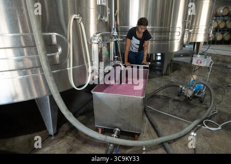 16 mars 2023, Tupungato, Mendoza, Argentine : un vinter draine le vin d'une cuve pour une pompe de circulation à la cave la Azul près de Tupungato, Mendoza, Argentine. (Crédit image : © Jon G. Fuller / Vwpics/VW pics via ZUMA Press Wire) Banque D'Images