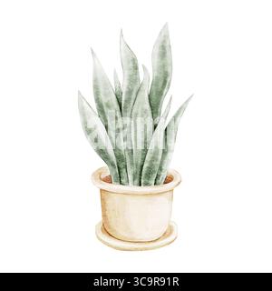 Plante de serpent aquarelle Sansevieria dans un pot en céramique beige. Illustration de verdure de maison dessinée à la main. Clipart isolé pour journalisation, blogs de bien-être Banque D'Images