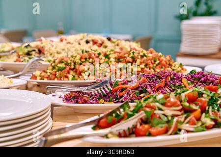 Un tableau coloré de salades fraîches et de plats vibrants présentés sur une table de buffet, mettant en valeur une diversité d'ingrédients et de saveurs Banque D'Images