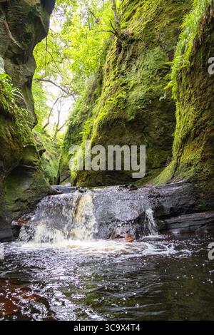 Petites cascades nichées entre des falaises couvertes de mousse dans une gorge forestière luxuriante et verdoyante. L'eau tranquille coule à travers un dramatique Banque D'Images