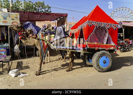 Pushkar Mela, Pushkar, Grand chameau et marché de bétail, Rajasthan, Inde du Nord, Asie, Un chameau décoré traditionnellement tire un chariot sur un marché, Inde Banque D'Images