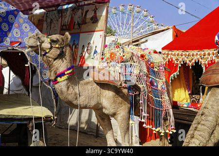 Pushkar Mela, Pushkar, Grand marché de chameau et de bétail, Rajasthan, Inde du Nord, Asie, chameau décoré dans un marché avec des stands et des carrousels dans le backgro Banque D'Images