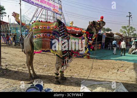 Un chameau décoré de façon festive se dresse à un marché, Pushkar Mela, Pushkar, grand marché de chameau et de bétail, Rajasthan, Inde du Nord Banque D'Images