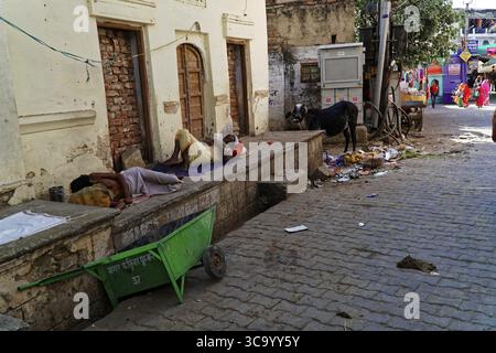 Jaipur, Rajasthan, Inde du Nord, Inde, Asie, une rue calme avec des gens qui dorment et un chien à côté des ordures Banque D'Images