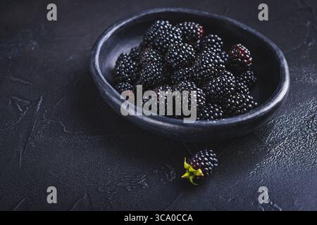 Mûres biologiques fraîchement cueillies du jardin dans un bol sur fond noir Banque D'Images