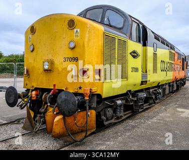Derby, Royaume-Uni - 3 août 2025 : le plus grand salon Gathering Rail 200 à Alstom Litchurch Lane Works - Colas Rail Class 37 loco 37 099 Banque D'Images
