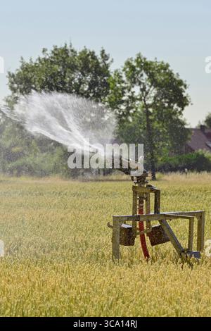 Arroseur portatif pulvérisant de l'eau sur des terres agricoles pendant un été de sécheresse. Banque D'Images